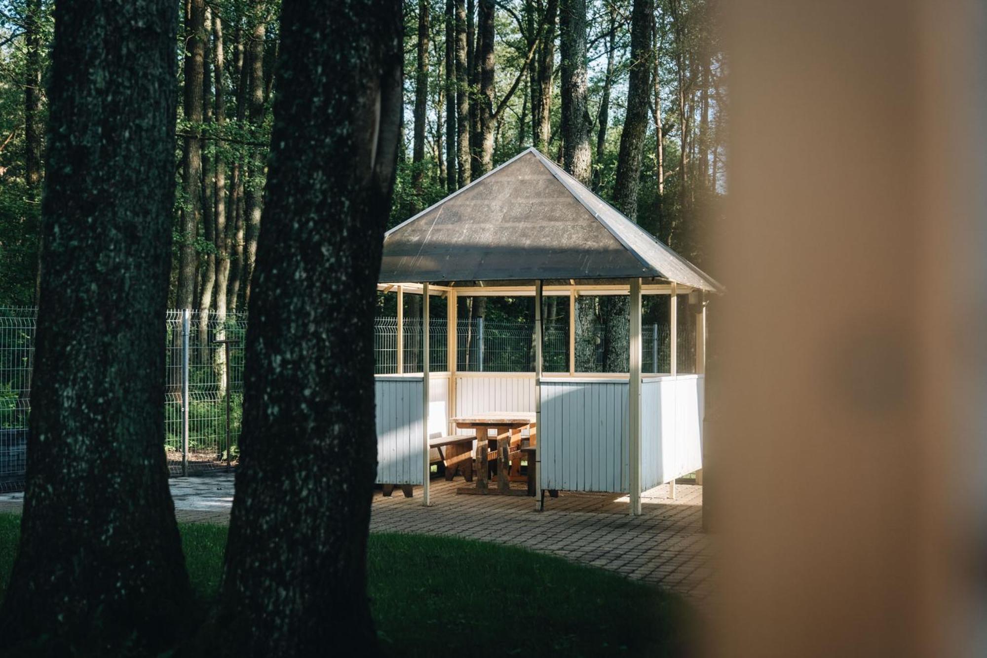 Nemirseta Forest Apartments Παλάγκα Εξωτερικό φωτογραφία