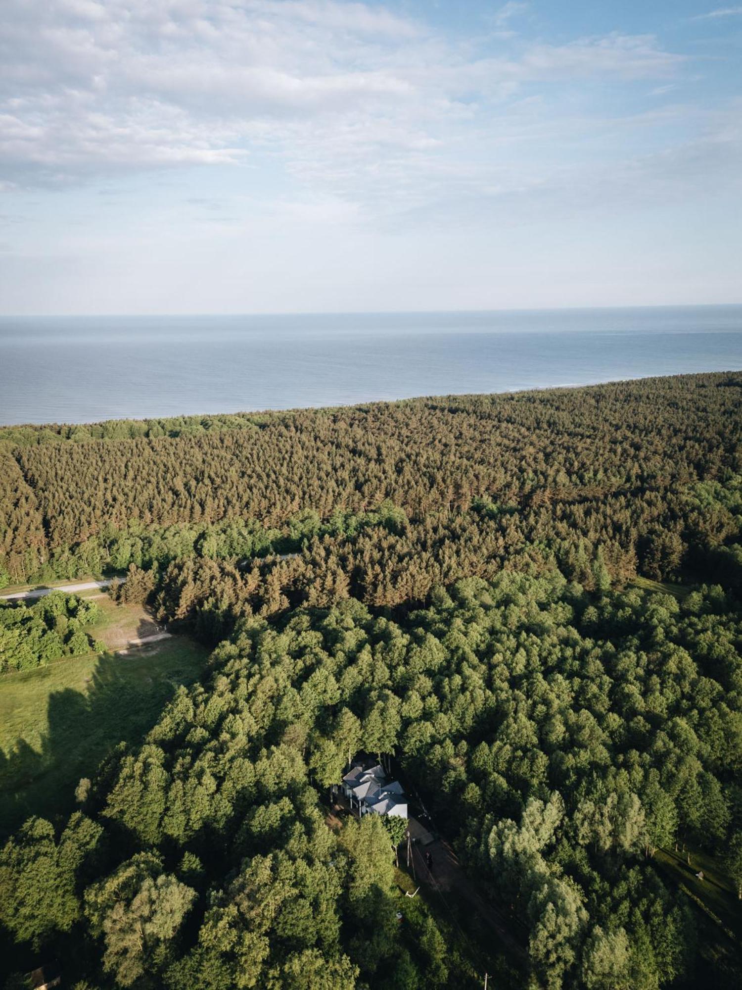 Nemirseta Forest Apartments Παλάγκα Εξωτερικό φωτογραφία