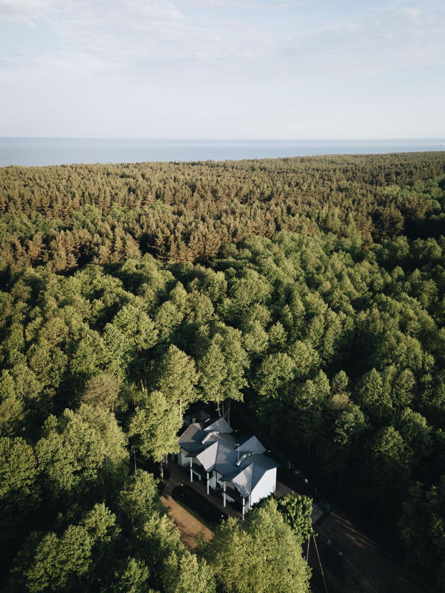 Nemirseta Forest Apartments Παλάγκα Εξωτερικό φωτογραφία